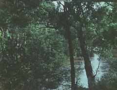 At Eltham, a Metaphor on Death