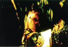 Garden of Chromatic Disturbance