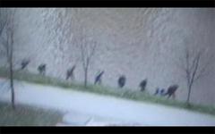 Can't You See Them? – Repeat.