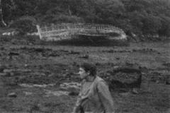 Das Atem des Schafes