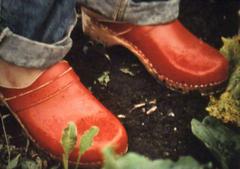 Rasendes Grün mit Pferden