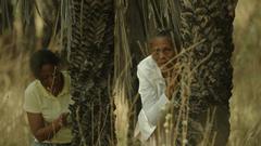 Jogos Dirigidos (Short Version)