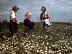 Der Rhein - Ein deutsches Märchen