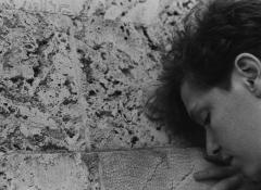 Der Pirat ist die Liebe