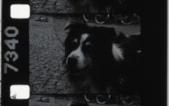 Analog Workshop 2025