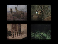 Data Fragments from a Rapid Decline