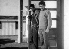 Les trois quarts de la vie