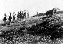 La zerda et Les chants de l'oubli