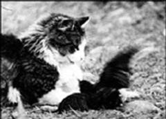 Straits of Magellan: Drafts and Fragments