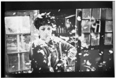 La estrategia del caracol