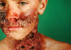 Khalil, Shaun, A Woman under the Influence