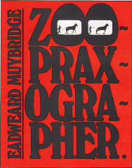 Eadweard Muybridge, Zoopraxographer