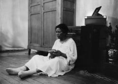 Folie ordinaire d'une fille de Cham