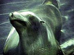 Small Lies, Big Truth