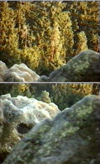 Schrammsteinaussichten