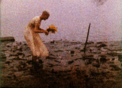 Respectable Creatures