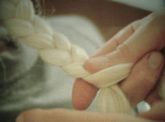 Der Schmetterling im Winter