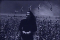 Happiness for One Day