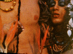 Reefers of the Technicolor Island