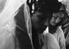 Töchter zweier Welten