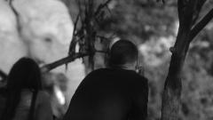 I Went to the Zoo the Other Day