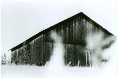 Barn Rushes