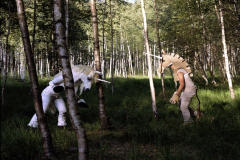 Osmosis of the Unicorn