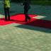 The Red Carpet