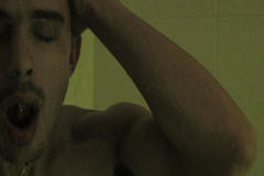 The Logic of the Cat