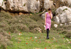 Ho! Terrible Exteriors!