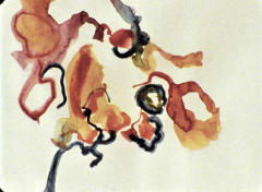 Untitled Colourmation