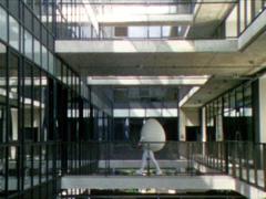 Some End of Things: The Conception of Youth