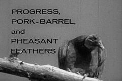 Progress, Pork-Barrel and Pheasant Feathers