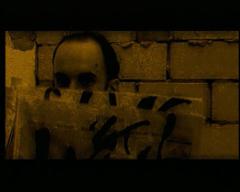 Stan van der Beek Revisited