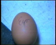 A-Clip Staffel I & II