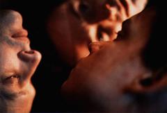 Die Wiese der Sachen