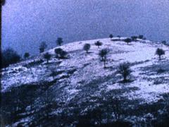 Autrement, La Molussie