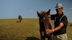 Pădurea e ca muntele, vezi?