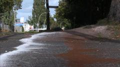 Die Kunstrechnungsliebende Societät