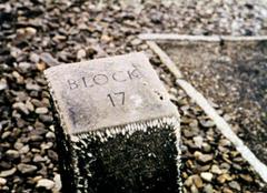 Überleben im Terror - Ernst Federns Geschichte