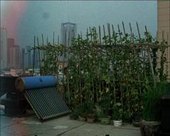 Is There Something Else I Lost?