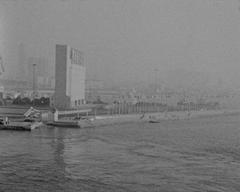 No, I Am Not A Toad, I Am A Turtle!