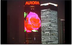 Shanghai Light Impressions