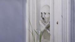 Not Every Day is Spring